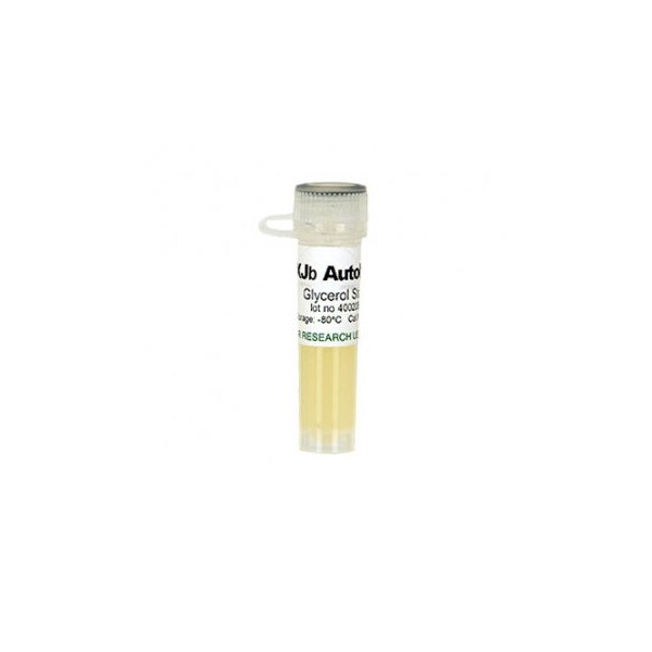 XJb Autolysis, w/1 Glycerol Stock & 1 ml 500X L-Arabinose